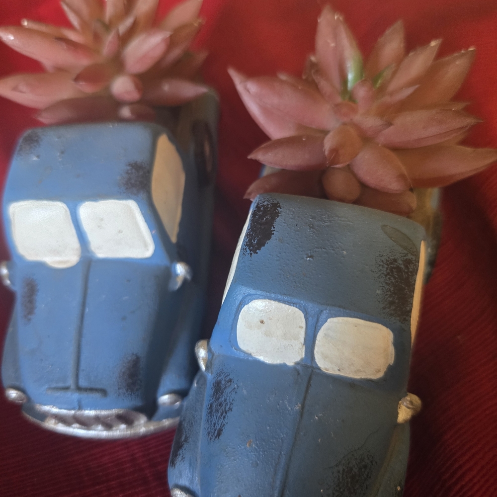 Blue Car Planter with Succulent